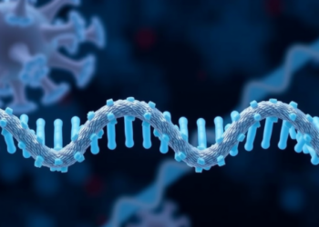 Cohesin Builds Molecular Fences That Keep Active Genome Domains From Mixing