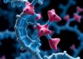 Computational study reveals how ketoprofen interacts with biomolecules