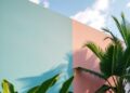 Cool façade paints cut heat, energy use, and microclimate warming in tropics