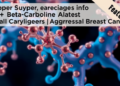 Copper Supercharges Beta-Carboline Metal Complexes Against Aggressive Breast Cancer