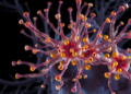 Cryo-EM Captures Hidden Pre-Active State That Switches On the Brain’s Fastest Receptors
