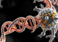 Cryo-EM Reveals How Cas12a Uses a DNA Guide to Hunt RNA Targets