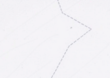 Cryptographers Patch a Dangerous Flaw in Anonymous Credential Signatures