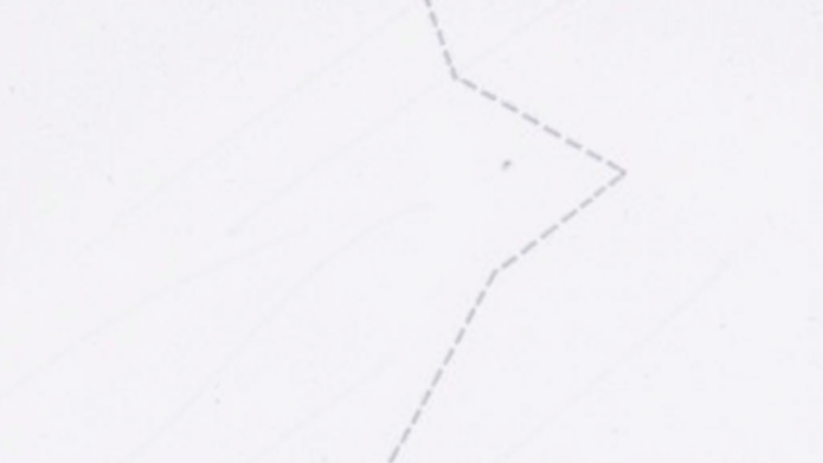 Cryptographers Patch a Dangerous Flaw in Anonymous Credential Signatures