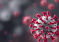 Culture Medium Reshapes RSV Glycoprotein Sugars and Antibody Recognition