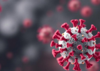 Culture Medium Reshapes RSV Glycoprotein Sugars and Antibody Recognition