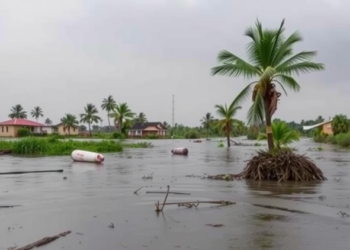 Cyclone Ana Exposed Zimbabwe’s Disaster Readiness Gaps, Study Finds