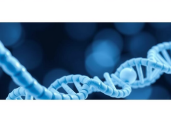 DNA-Binding Protein Fusions Supercharge PAM-Flexible, High-Precision Base Editing