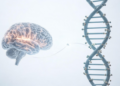 DNA Methylation Emerges as a Possible, Still Unproven, Player in Delirium