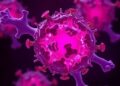 Damaged lysosomes undergo budding-type fission driven by mitochondrial vesicles