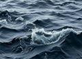 Darker, Iron-Rich Waters Could Rewire Ocean Food Weefs