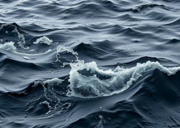 Darker, Iron-Rich Waters Could Rewire Ocean Food Weefs
