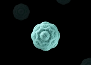 Disc-Shaped, Deformable Nanoparticles Break the 1% Delivery Barrier in Cancer and Stroke
