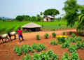 Diverse Farms Bring Better Diets to Rural Ethiopia, but Seasonal Hunger Persists