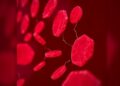 Dried blood spots reliably quantify HBV DNA and detect HBeAg