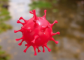Drug-Resistant Typhoid Strain Found in Johannesburg River, Linked to Human Cases
