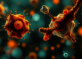 Dual-Branch AI Framework CrossBranch Sharpens Cell-Type Maps Across Omics Data