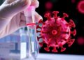 Dual-gene isothermal assay validated for rapid Nipah virus detection