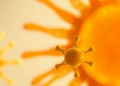 Engineered Bacterial Teams Turn Sunlight and CO2 Into 1-Butanol
