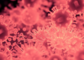Engineered E. coli swarms record chemical and light inputs in visible patterns