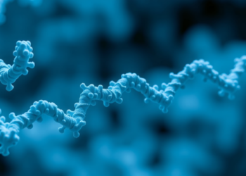 Engineered Fusion Protein Delivers Antimicrobial Peptides Only Where Dangerous Bacteria Strike