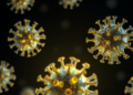 Engineered Viruses Light Up Bacteria in Minutes by Releasing Reporter Proteins