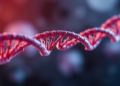 Environmental Stress May Have Loosened DNA Repair Rules on the Y Chromosome
