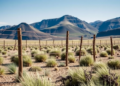 Fences Alone Cannot Save Desertified Alpine Grasslands, Soil Study Reveals