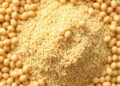 Fermenting soybean meal with Bacillus boosts protein quality and bioactivity
