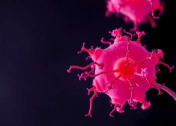 Fission Yeast Study Reveals How Gdt1, Gdt2 and Pmr1 Team Up to Balance Calcium and Manganese