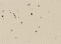 Flax-Fiber Foamed Mortars Turn Waste Rubber and Lightweight Aggregates into Sound-Absorbing Building Materials