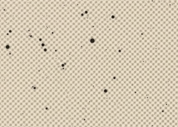 Flax-Fiber Foamed Mortars Turn Waste Rubber and Lightweight Aggregates into Sound-Absorbing Building Materials