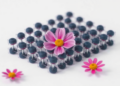 Flower-Powered Carbon Doped With Manganese Boosts Supercapacitors and Solar Cells