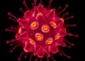 Focused ultrasound activates cells and delivers nanomedicine to fight cancer
