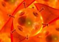 Force-responsive biomaterials harness the body’s own growth factors to repair tissue