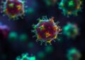 Fungal vesicles spur ovarian cancer growth via JAK2/STAT3 macrophage switch