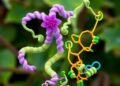 GASA/snakin proteins reveal conserved structure and diverse plant functions