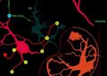 GPSM2 Drives Pancreatic Cancer via m6A-Modified YAP1 mRNA