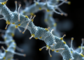 Genetic Suppressors Rescue Tubulin Mutations and Restore Microtubule Dynamics