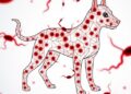 Genetic diversity of Ehrlichia canis revealed in naturally infected Brazilian dogs