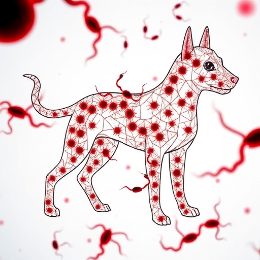 Genetic diversity of Ehrlichia canis revealed in naturally infected Brazilian dogs