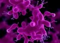 Genetic drivers of carbapenem resistance and hypervirulence in Cypriot Klebsiella pneumoniae