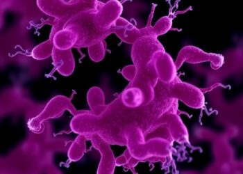 Genetic drivers of carbapenem resistance and hypervirulence in Cypriot Klebsiella pneumoniae