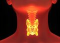 Genome-wide study across ancestries reveals genetic roots of Hashimoto’s thyroiditis