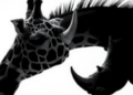 Giraffe and Rhino Blood Chemistry Revealed in Landmark NMR Metabolomics Study
