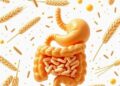 Grain feeding enriches gut bacteria that rapidly break down tryptophan