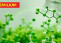 Green Bismuth Catalyst Forges Antimicrobial Pyridopyrimidines in One Pot