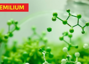 Green Bismuth Catalyst Forges Antimicrobial Pyridopyrimidines in One Pot