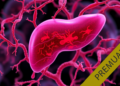 Gut Microbes and Metabolites Reveal Distinct Signatures Across Chronic Liver Diseases