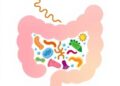 Gut Microbiome Changes Tied to Drug-Resistant Bacteria in ICU Patients